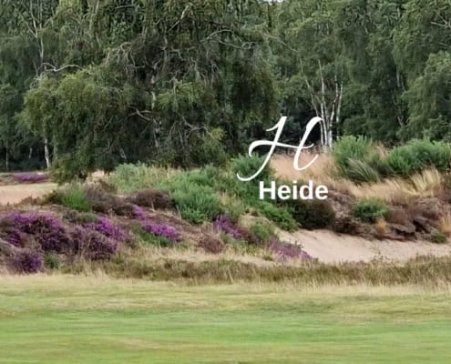 Biodiversitäts-Lexikon Heide