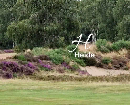 Biodiversitäts-Lexikon Heide