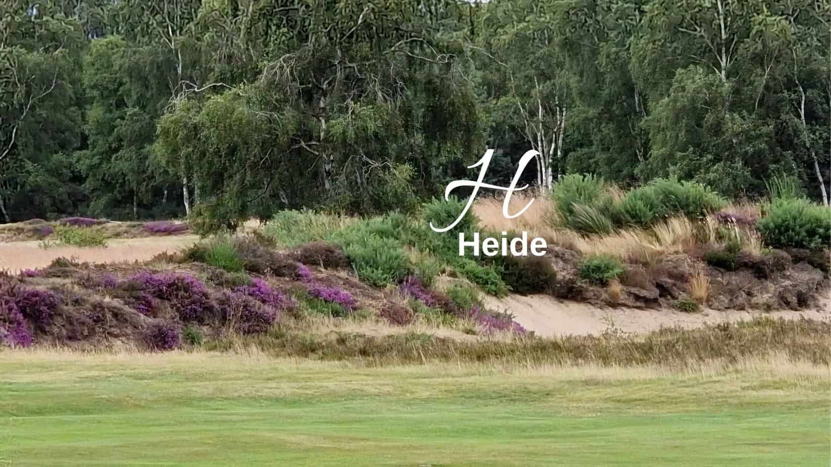 Biodiversitäts-Lexikon Heide
