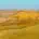 Bild eines ausgetrockneten Golfplatzes