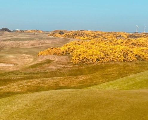 Bild eines ausgetrockneten Golfplatzes