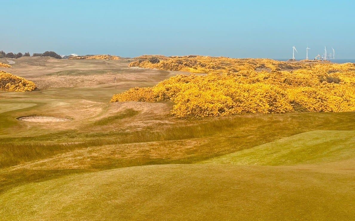 Bild eines ausgetrockneten Golfplatzes
