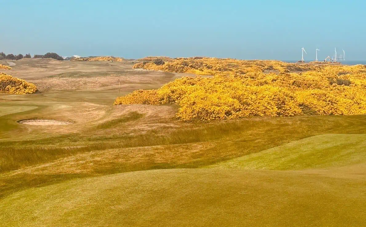 Bild eines ausgetrockneten Golfplatzes