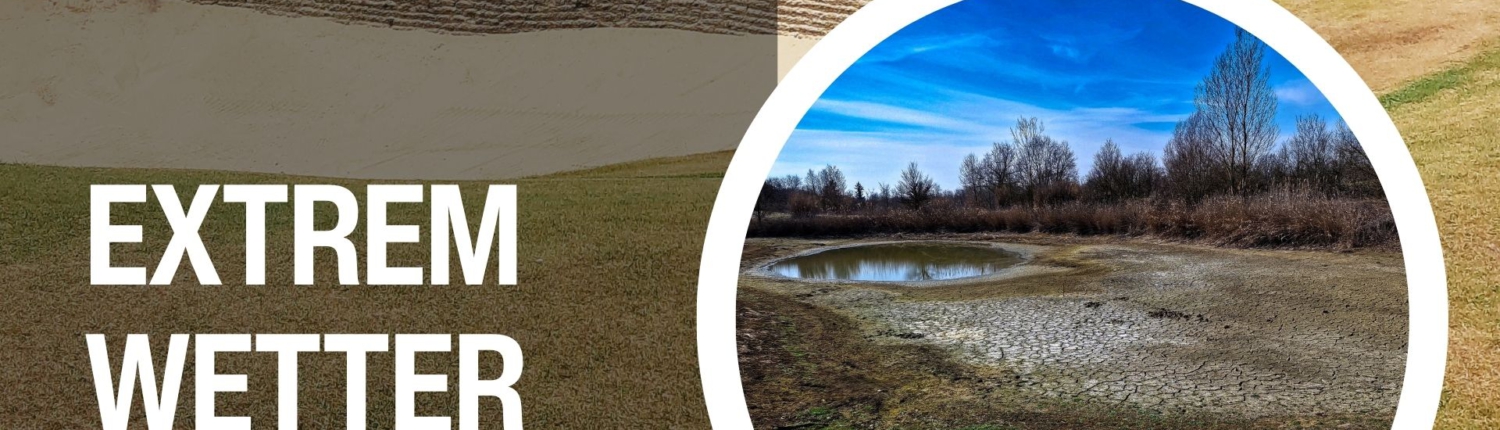 Thumbnail Golf Sustainable Akademie - Trockenheit und Wassermangel