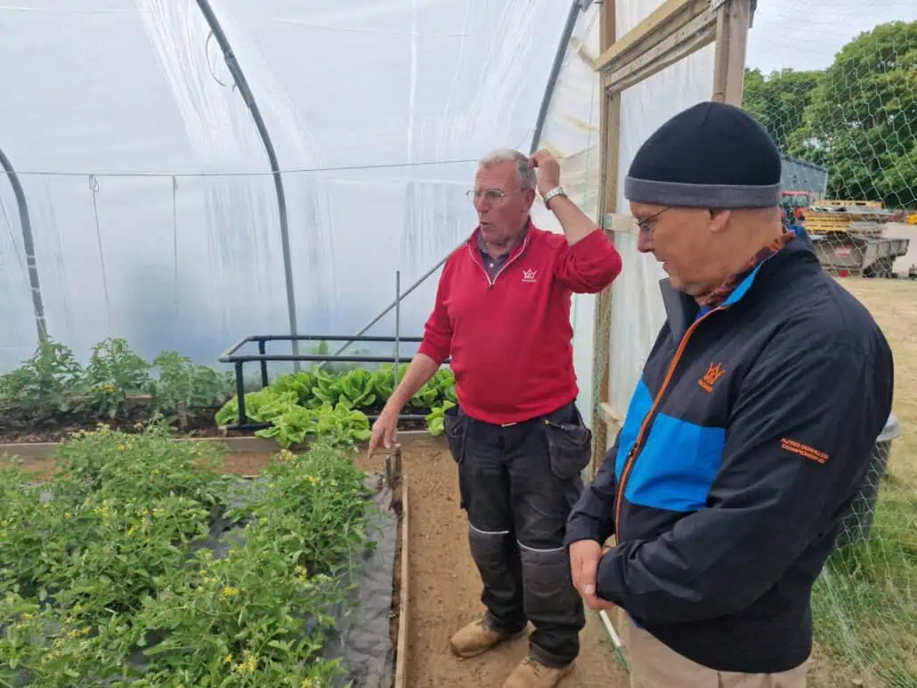 Polytunnel mit Gemüse