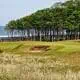 Kingsbarns Golf Links Par 3