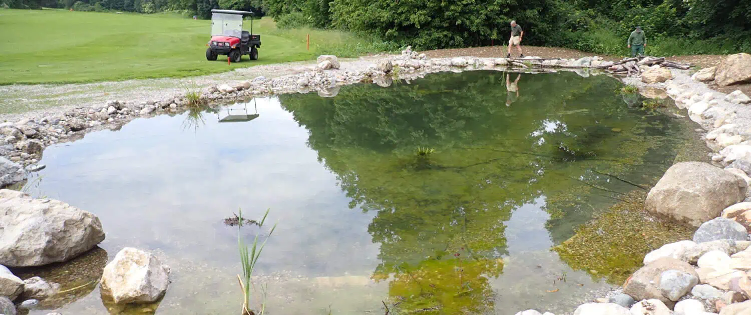Ein Amphibienteich