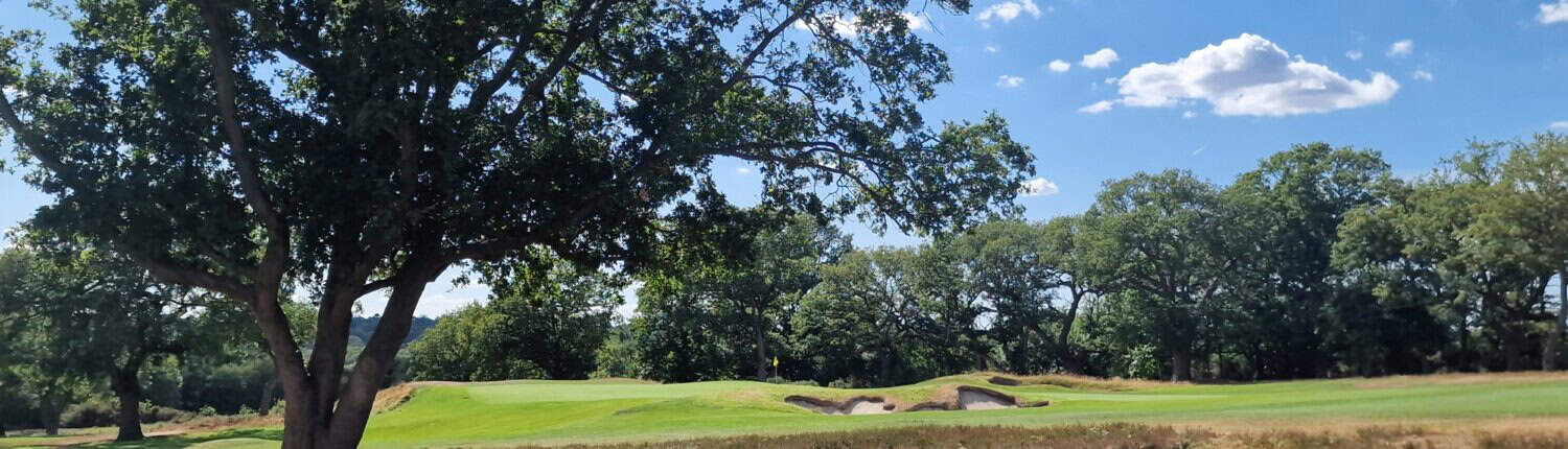 Golf hole with heather