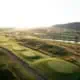 Drohnenbild eines Golfplatzes