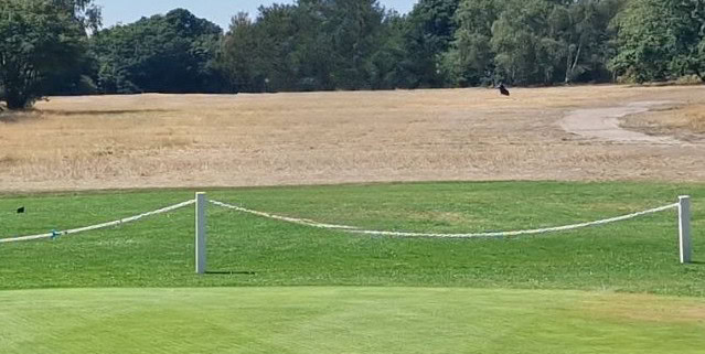 Brauner Golfplatz