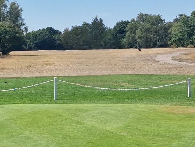 Brauner Golfplatz