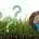 Collage mit Gras