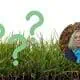 Collage mit Gras