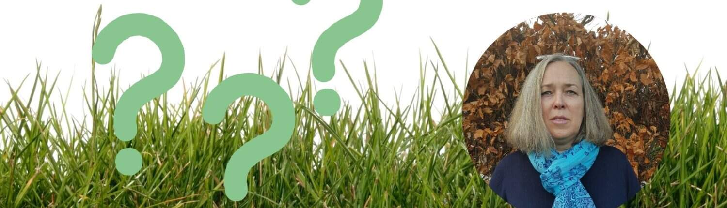 Collage mit Gras und Porträt