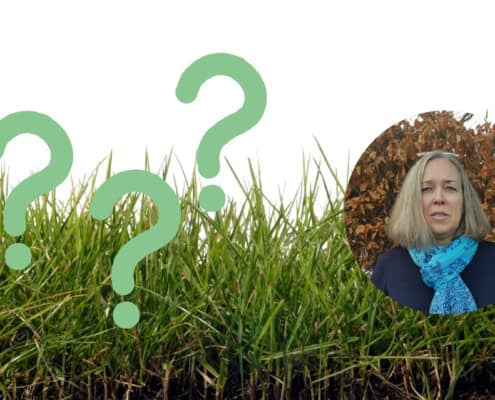 Collage mit Gras und Porträt