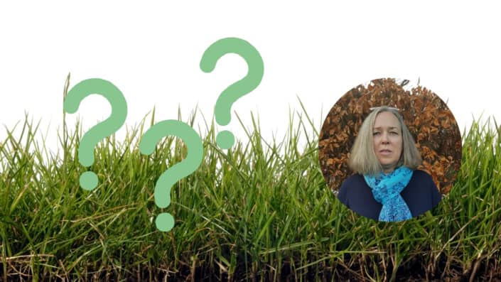 Collage mit Gras und Porträt