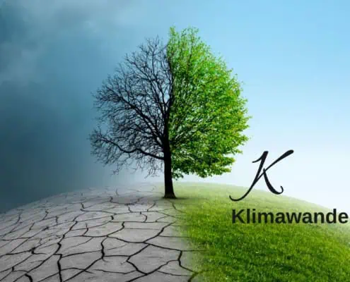 Grafik Klimawandel zum Buchstaben K im Biodiversitätslexikon