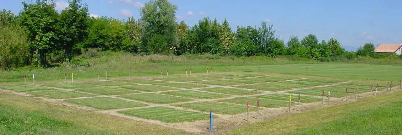 Testing field at Golf Montecchia