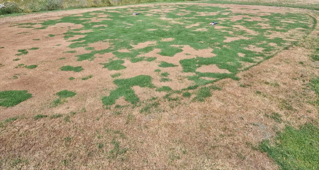 Discount due to heat damage