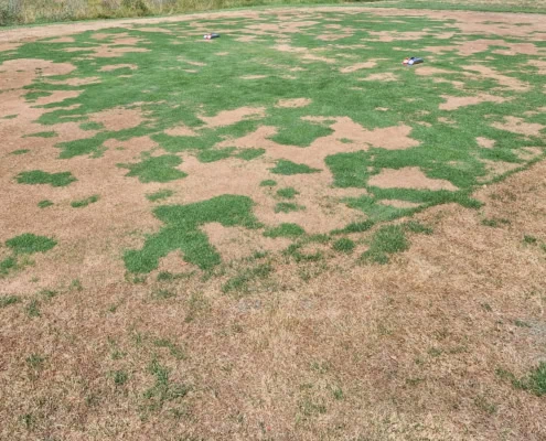 Discount due to heat damage