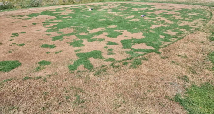 Discount due to heat damage
