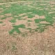 Discount due to heat damage