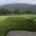 AM 535 AWD EPOS_Golf-large