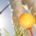 Golf und Hitze