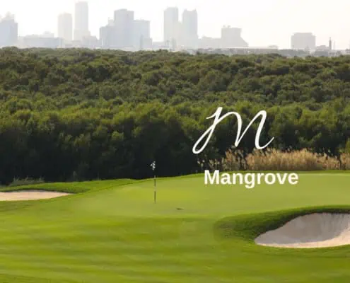 Biodiversitäts-Lexicon mangroves