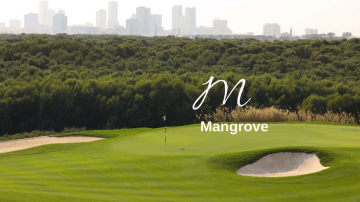 Biodiversitäts-Lexikon Mangroven