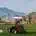 Turfrad Sensor beim Greenkeeping