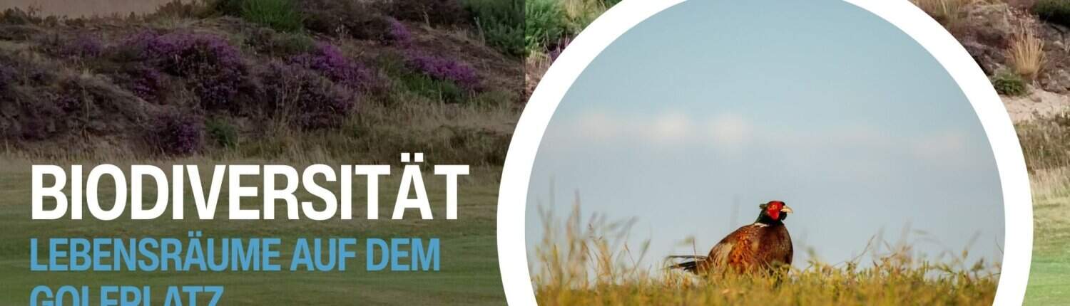 Titelbild Golf Sustainable Akademie Biodiversität Lebensräume
