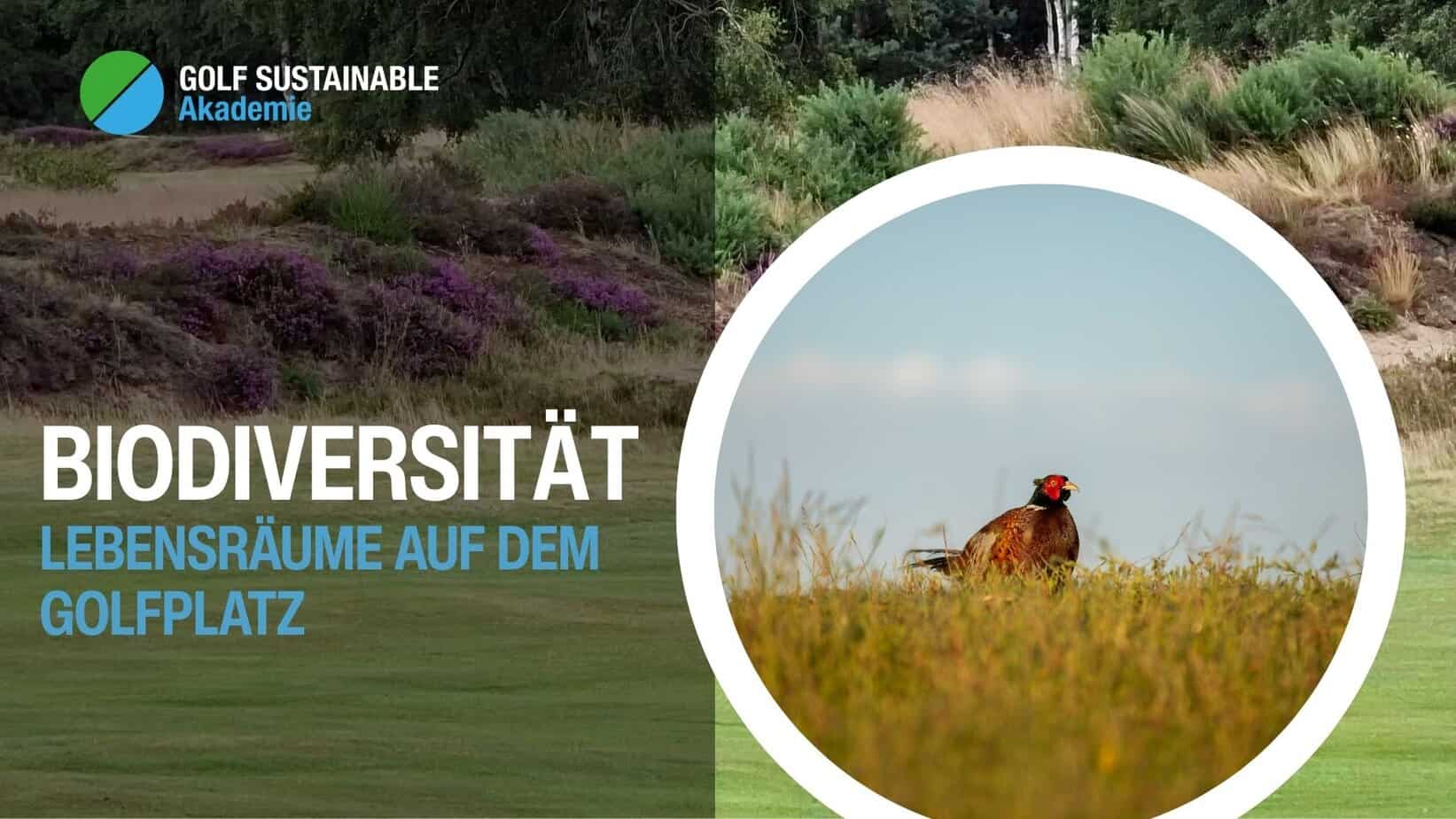 Titelbild Golf Sustainable Akademie Biodiversität Lebensräume