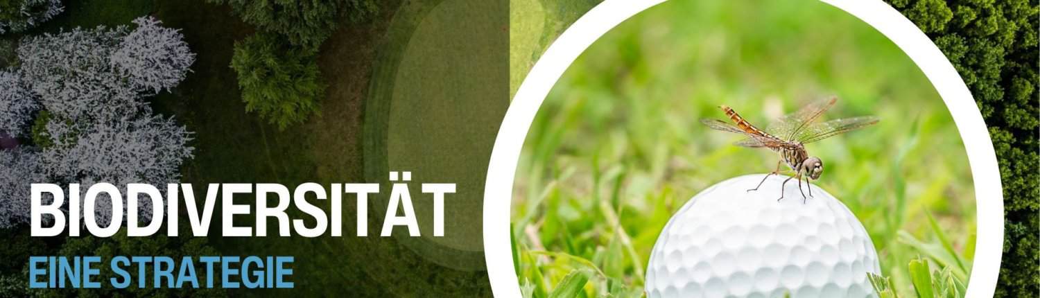 Titelbild Golf Sustainable Akademie Biodiversität - eine Strategie entwickeln