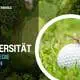 Titelbild Golf Sustainable Akademie Biodiversität - eine Strategie entwickeln
