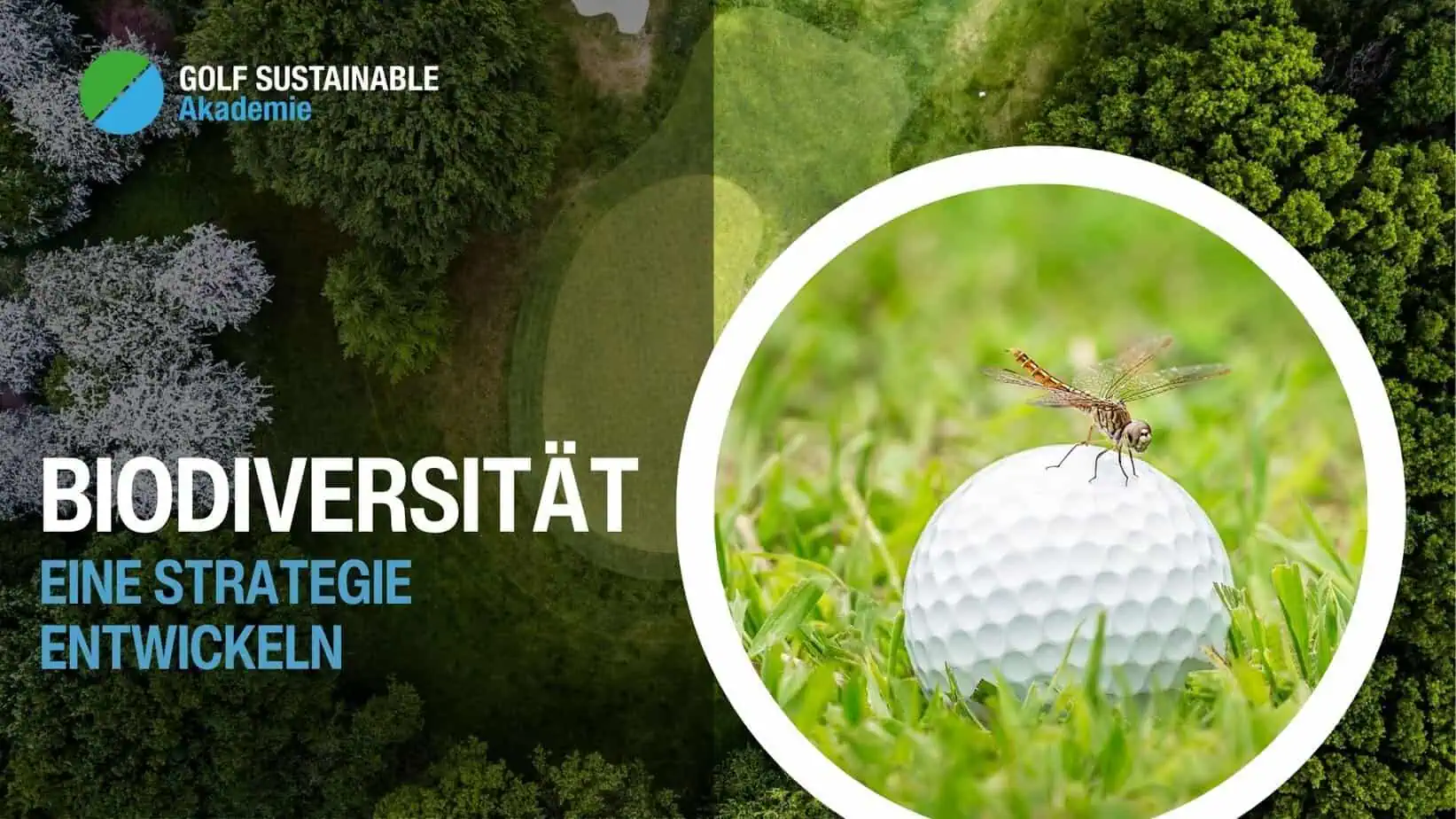 Titelbild Golf Sustainable Akademie Biodiversität - eine Strategie entwickeln
