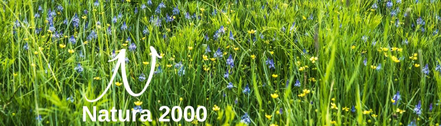 Biodiversitäts-Lexikon: Natura 2000