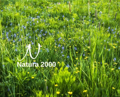 Biodiversitäts-Lexikon: Natura 2000