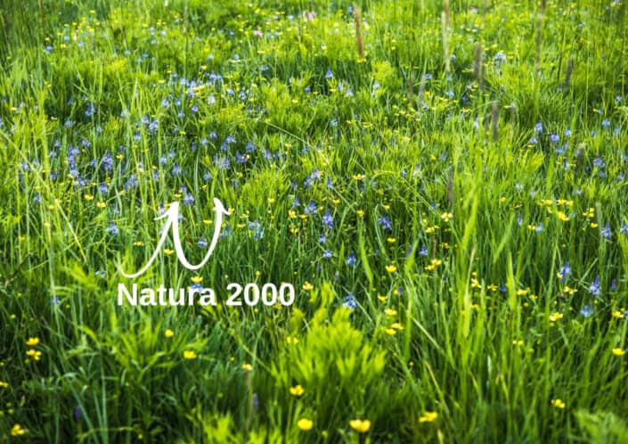 Biodiversitäts-Lexikon: Natura 2000