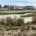 Bunker with rough at Ryder Cup 2025