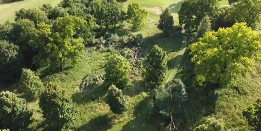 Storm damage on a golf course