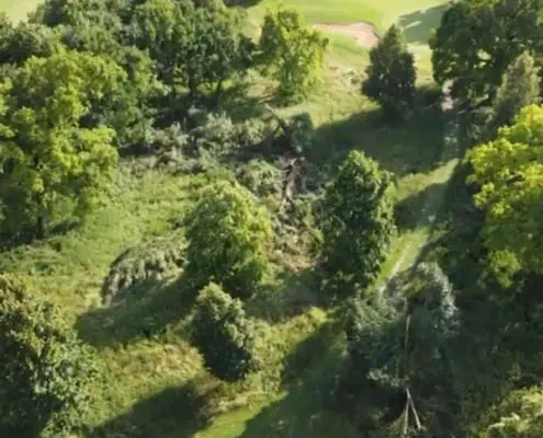 Storm damage on a golf course