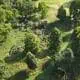 Storm damage on a golf course
