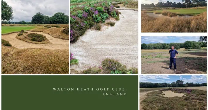 Heather images