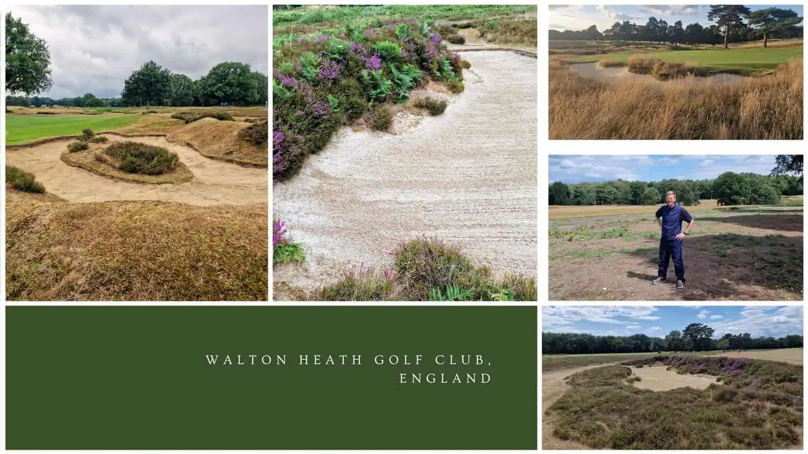 Heather images