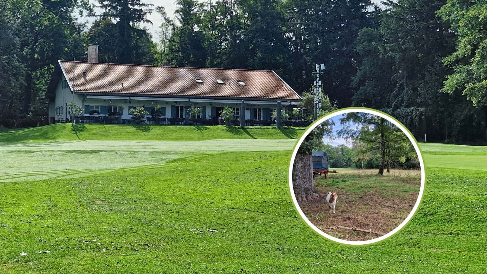 GC Dachau Biodiversität