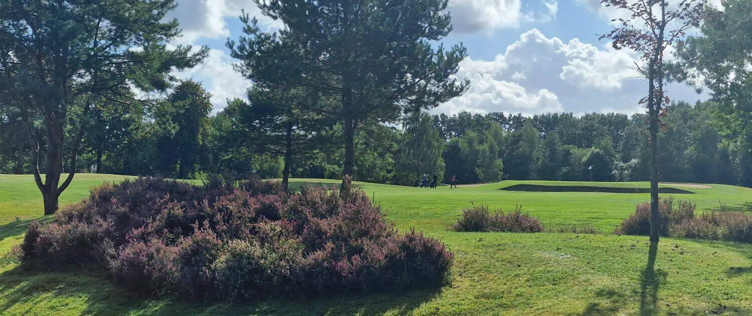 Heath area at Brunstorf Golf and Country Club