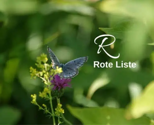 Biodiversitäts-Lexikon Rote Liste