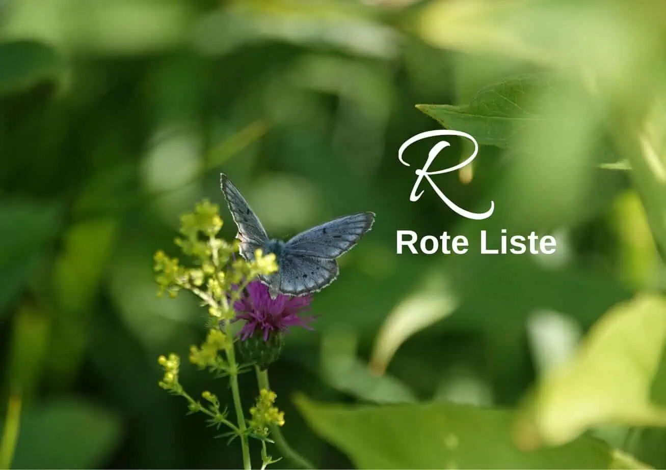 Biodiversitäts-Lexikon Rote Liste