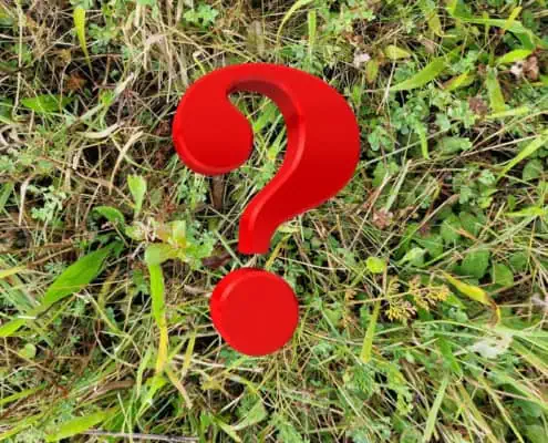 Projekt Golf Biodivers